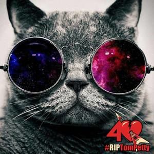 Meet your Posher, Abbey